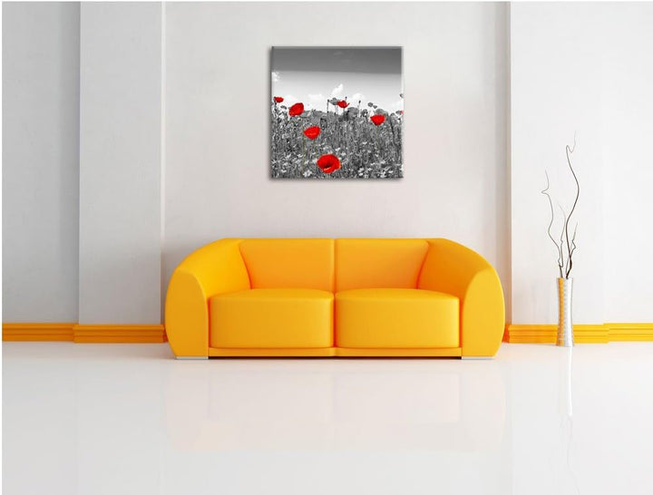 Pixxprint schöner rot leuchtender Mohn schwarz/weiss, Format: 70x70 auf Leinwand, 70x70