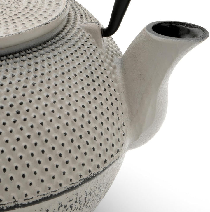 Bredemeijer Asia Teekanne Gusseisen Set 1.1 Liter - grauer Teekessel &amp; Edelstahl-Filter-Einsatz für
