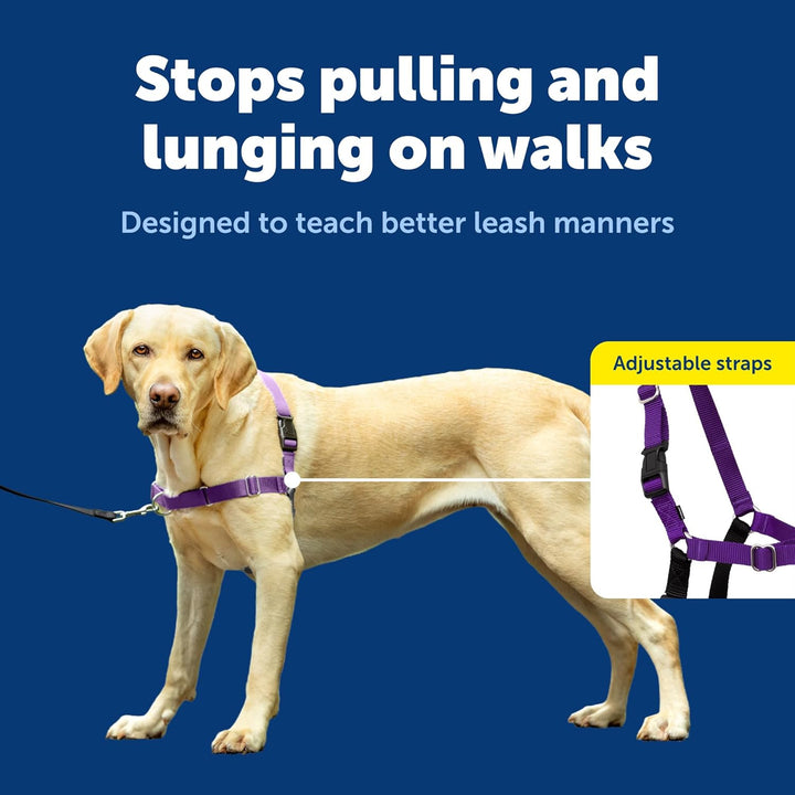 PetSafe Easy Walk Hundegeschirr. Deep Purple/Black Large, Deep Purple/Black Large
