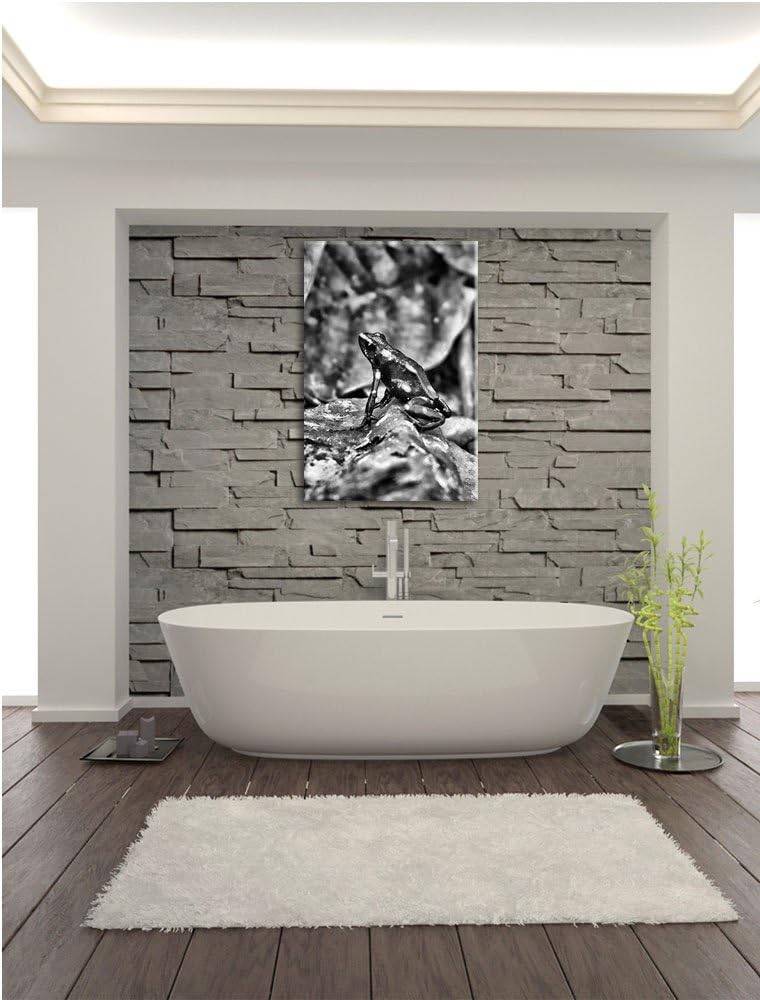 Pixxprint Baumsteiger Frosch als Leinwandbild/Grösse: 100x70 cm/Wandbild/Kunstdruck/fertig bespannt,