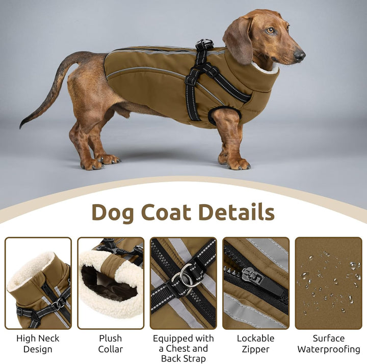 Hundemantel Hundejacke Warm Wintermantel mit Reissverschluss Winddichte & Winddichte mit Reflektorst