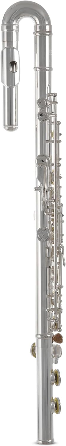 Roy Benson Querflöte FL-402E2, inkl. Holzetui mit Tasche, FL-402E2