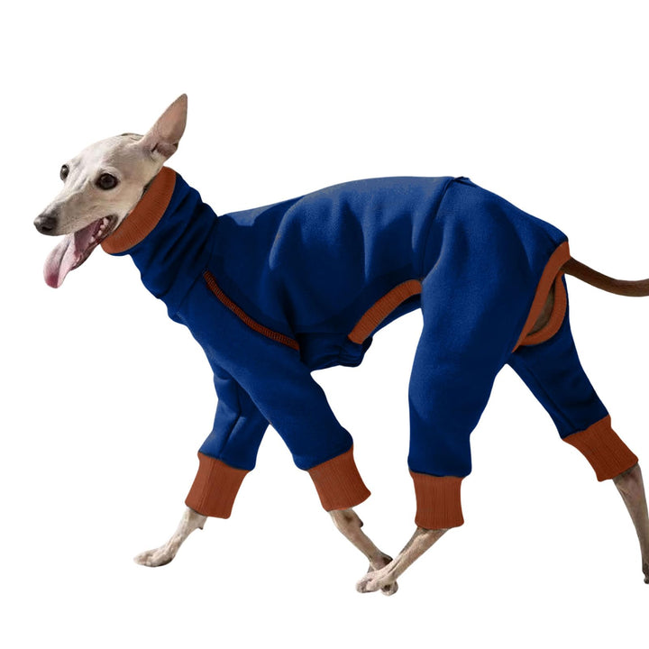Windhund-Winterkleidung, elastisch, Whippet, vierbeinig, Fleece-Mantel, schlanker Hund, kaltes Wette