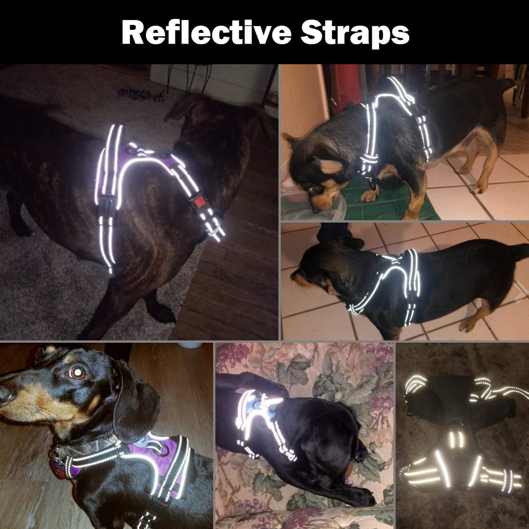 PHOEPET No Pull Hundegeschirr, reflektierend, verstellbare Weste mit Trainingsgriff, Namensausweisfa