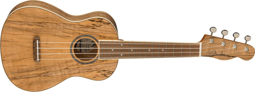 Fender Zuma Exotic Concert Ukulele, Walnut Fingerboard in Spalted Maple