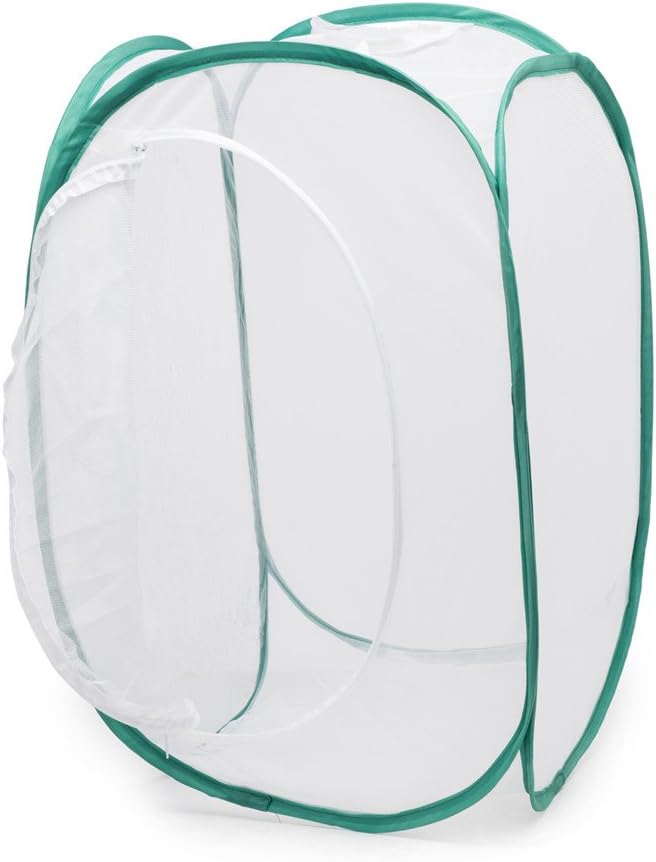 Hyindoor Insekt Und Schmetterling Habitat Käfig Terrarium Schutz Käfig Grün