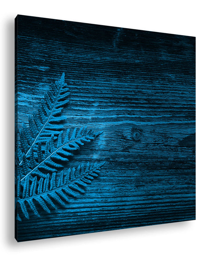 deyoli grüner Farn auf Einer Holztischplatte Format: 40x40 Effekt: Zeichnung als Leinwandbild, Motiv
