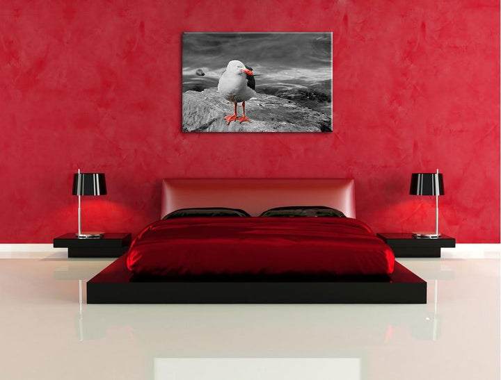 kleine Möwe auf Felsbrocken schwarz/weiss auf Leinwand, XXL riesige Bilder fertig gerahmt mit Keilra