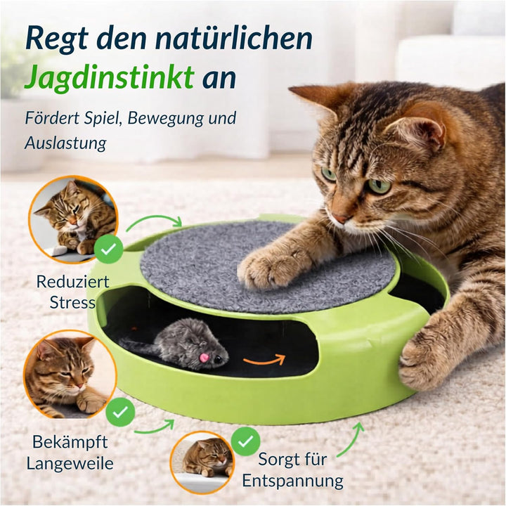 Interaktives Katzenspielzeug mit Maus – Beschäftigungsspielzeug für Wohnungskatzen – Jagdspielzeug m