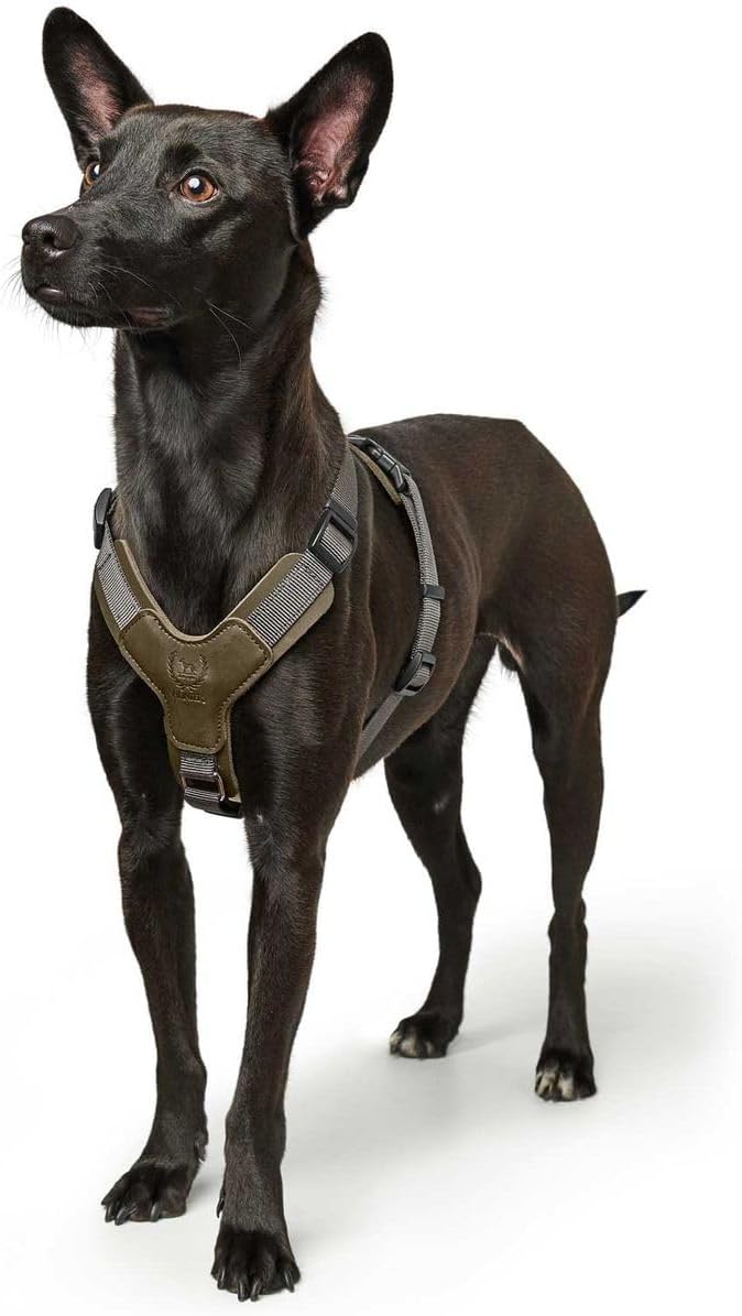 HUNTER AALBORG MIXED Hundegeschirr, M-L, oliv/grau oliv/grau 63 - 96 cm, oliv/grau 63 - 96 cm