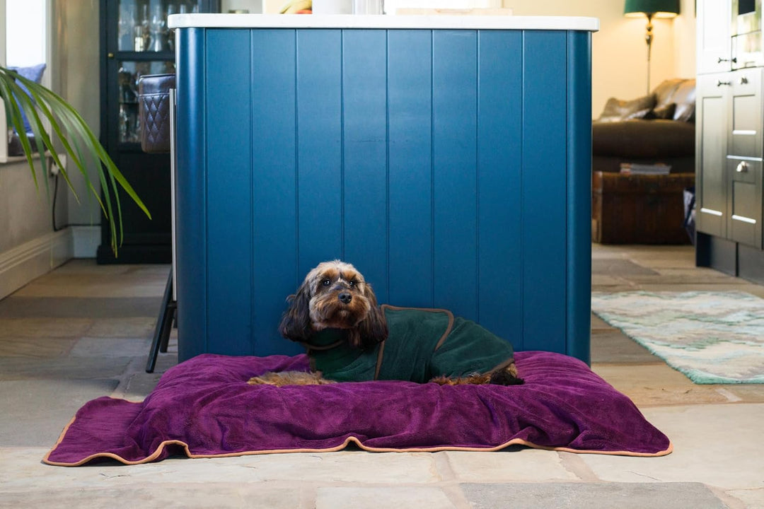 Lucky Paws® Hundebademantel – doppellagiger, Ultra-absorbierender & luxuriös weicher Bademantel Hund