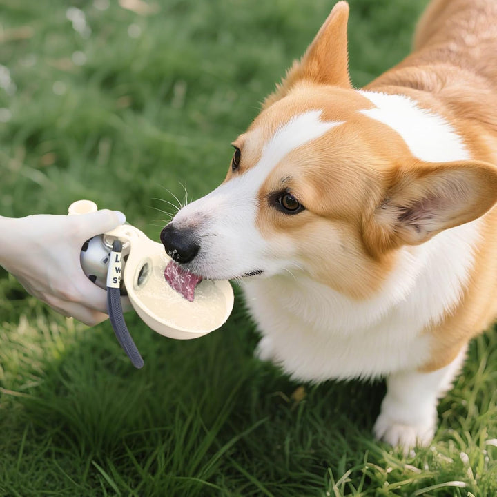 Trinkflasche Hunde für Unterwegs, 285ML Edelstahl Hundetrinkflasche mit Silikonnapf, Auslaufsichere