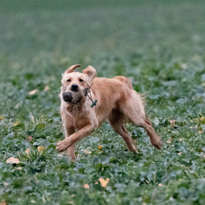 Firedog Dummy mit echtem Kaninchenfell - Robustes Wild-Apportel mit 250g Gewicht (auch für Welpen ge