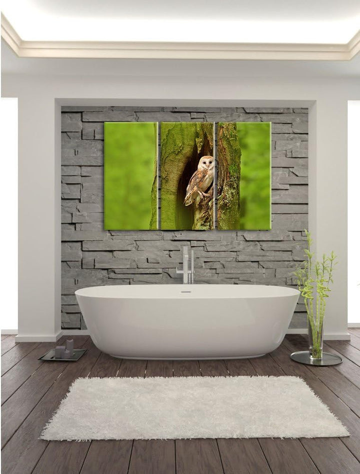 Pixxprint Schleiereule in der Baumhöhle 3-Teiler Leinwandbild 120x80 Bild auf Leinwand