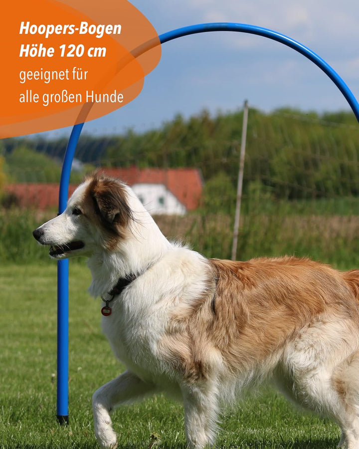 Hoopers-Bogen XL – 120cm hoch – Rot – sicher &amp; flexibel – VDH-konform – für grosse Hunde, Rot