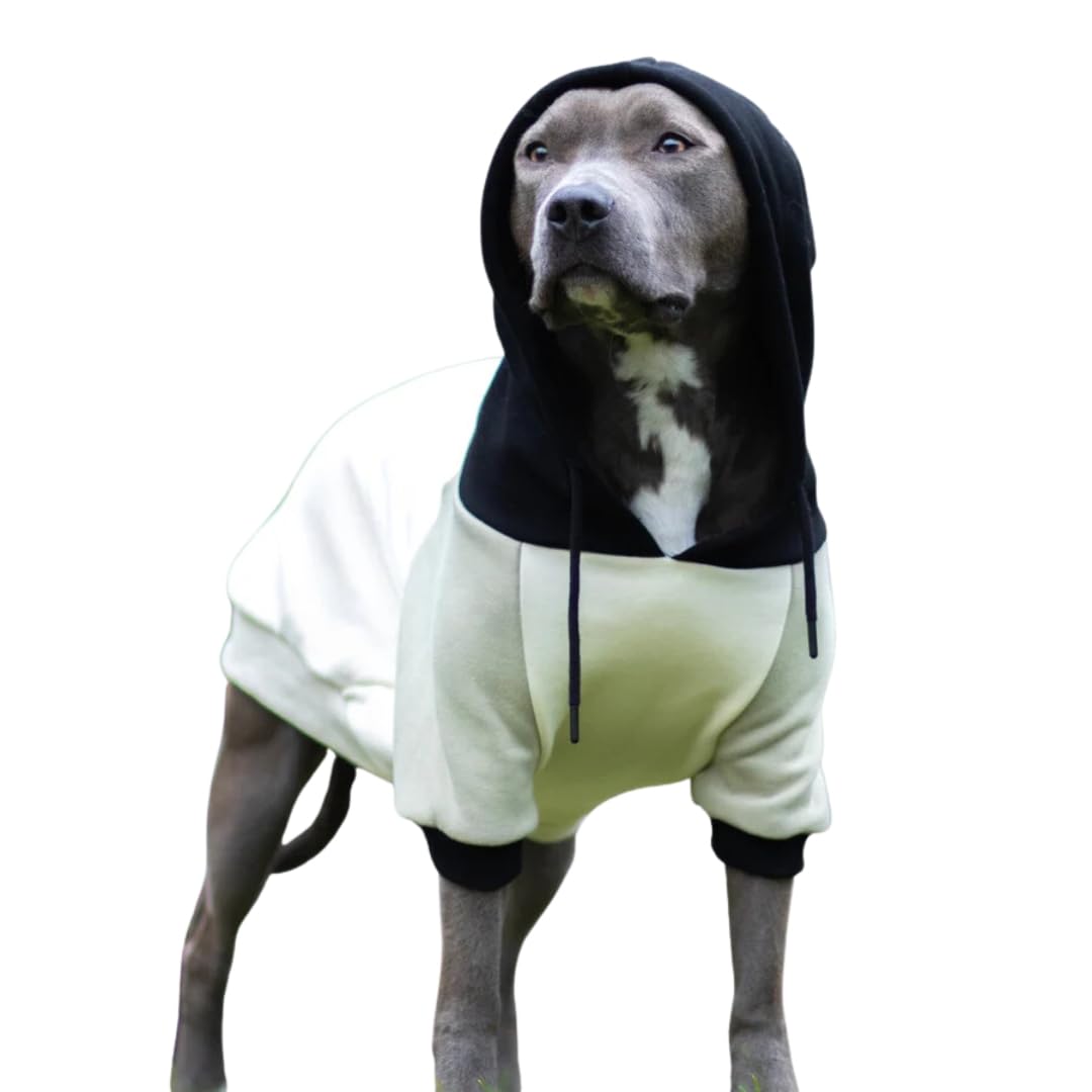 Spark Paws Hunde Hoodie Sweatshirt Pullover - Premium Qualität, weich, Komfortabel und passend für g