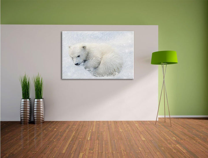 Pixxprint Süsser junger Eisbär im Schnee, Format: 100x70 auf Leinwand, 100x70