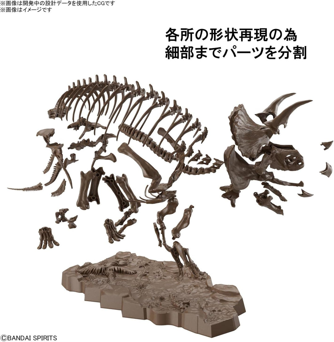BANDAI Hobby - 1/32 imaginäres Skelett Triceratops