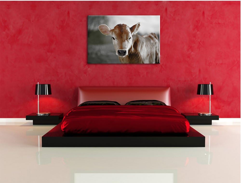 Pixxprint Junge Kuh Kälbchen als Leinwandbild/Grösse: 100x70 cm/Wandbild/Kunstdruck/fertig bespannt,