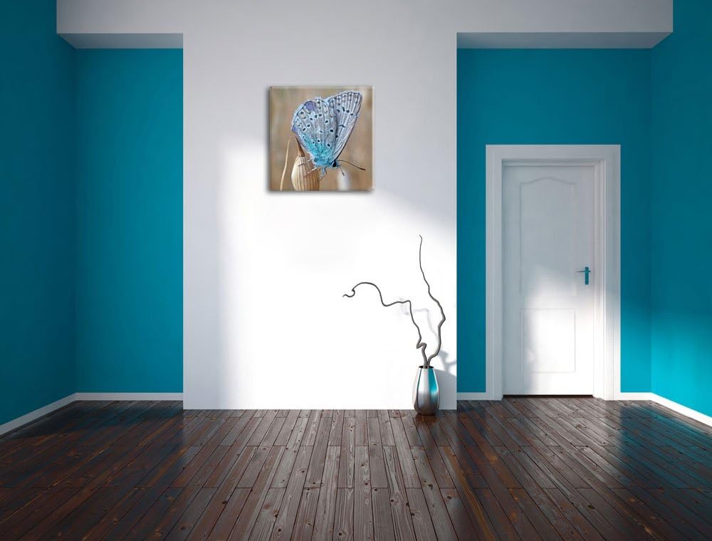 Pixxprint Blauer Schmetterling auf Blauer Blumeblau Schmetterling Blume Natur Tier, Format: 70x70 au