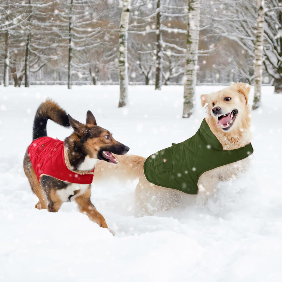 CITÉTOILE Wintermantel Hundemantel, Warme Winterjacken mit Fleece für Hunde,Hundejacke Hundekleidung