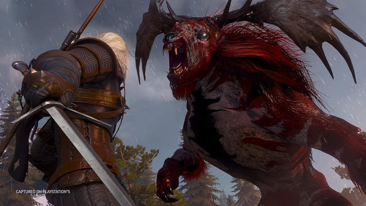 Videogioco Bandai Namco The Witcher 3 Wild Hunt Complete Edition