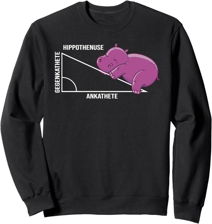 Ankathete Gegenkathete Hippothenuse lustiges Mathelehrer Sweatshirt
