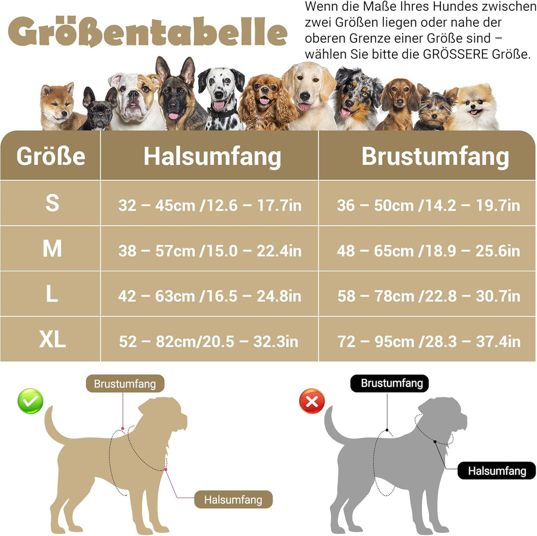 Funfox Hundegeschirr für Mittelgrosse Hunde No Pull Geschirr Einstellbar Geschirrset Mittlere Hunde