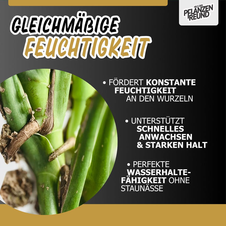 Nils der Pflanzenfreund® Moosstab [PlantScraper] 40 cm (L) / 10 Stück/Matt | Pflanzenstab | Moss Pol
