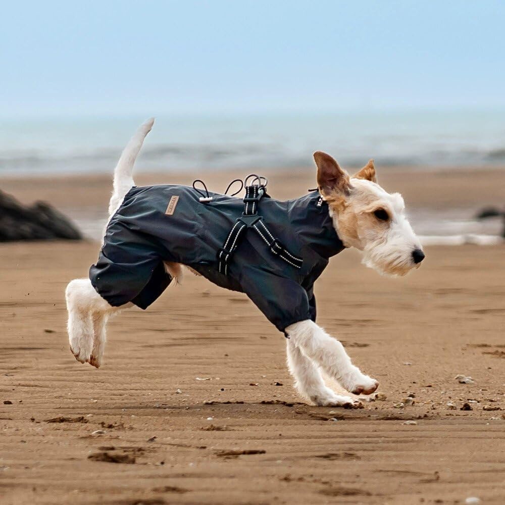 BT Bear Hundegeschirr, Regenmantel, verstellbar, 4 Beine, Hundejacke mit Geschirr, reflektierender O