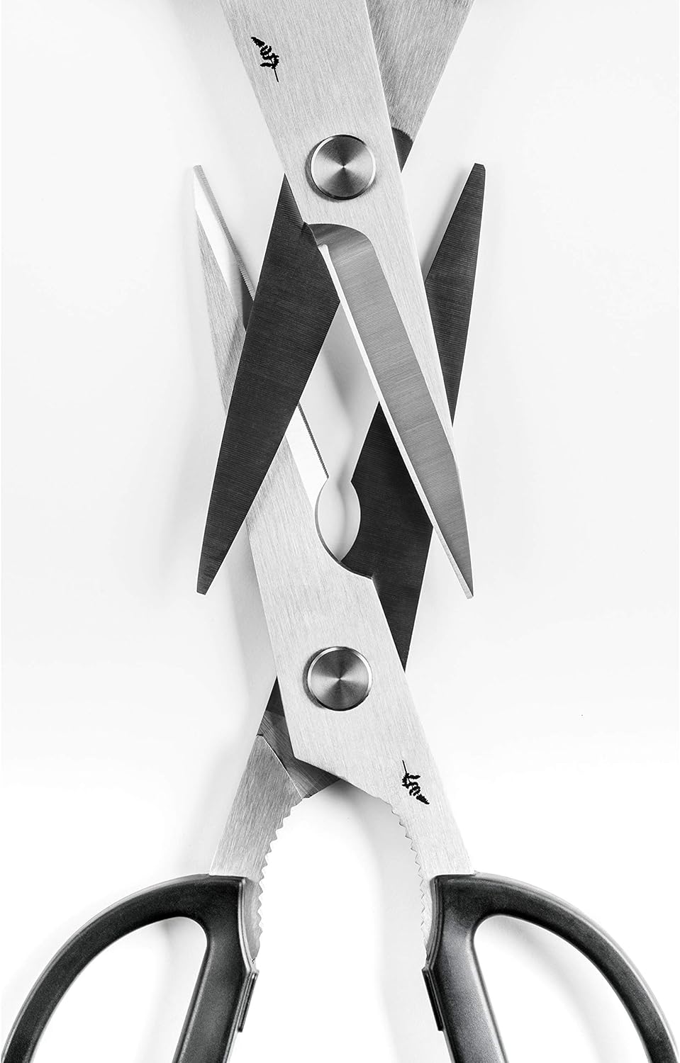KAI BK-0203 VE5 Michel Bras Kitchen Scissors, 23.2x8.5x1 cm