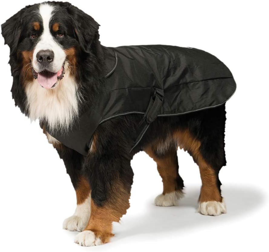 Danish Designs Hundegeschirr, 2-in-1, Schwarz 50 cm, 50 cm