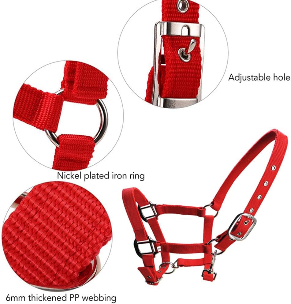 tooloflife Reithalfter aus Nylon, verstellbar, für Fohlen, Pony, Esel, Rot Red-Small, Red-Small