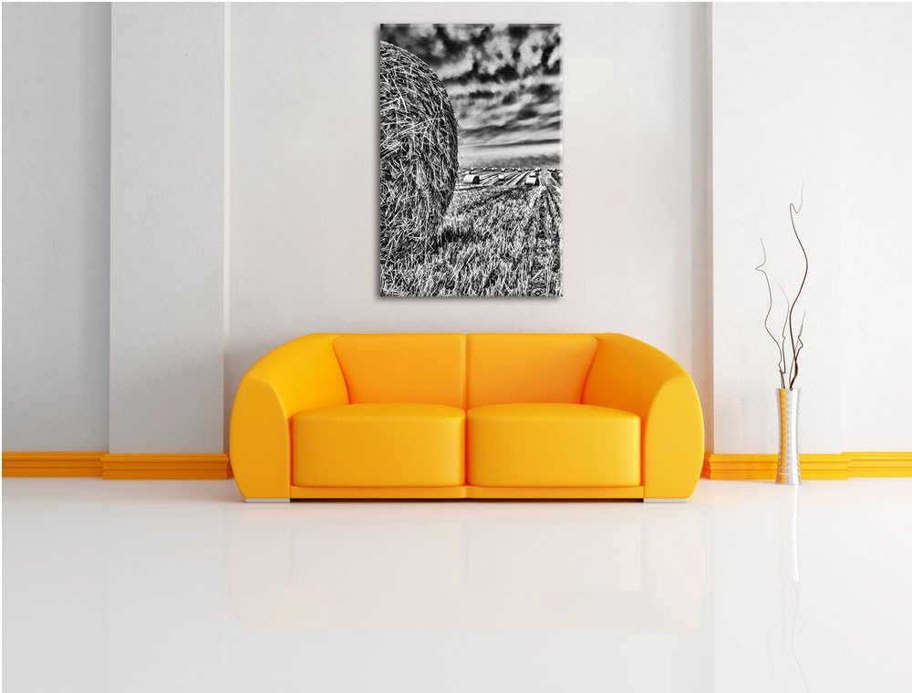 Pixxprint Feld im Sonnenuntergang als Leinwandbild/Grösse: 100x70 cm/Wandbild/Kunstdruck/fertig besp