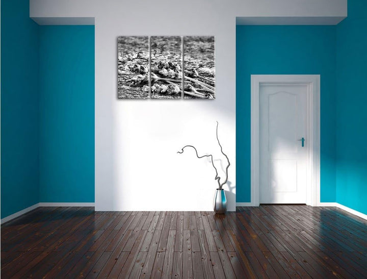 Pixxprint Liegender frischer Lavendel als Leinwandbild/Grösse: 3 Teilig (120x80) cm/Wandbild/Kunstdr