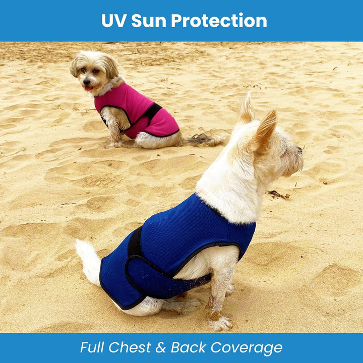 DOGZSTUFF Kühlweste für Hunde, leichte Jacke mit verdunstender Kühl-Mikrofaser-Technologie, UV-Schut