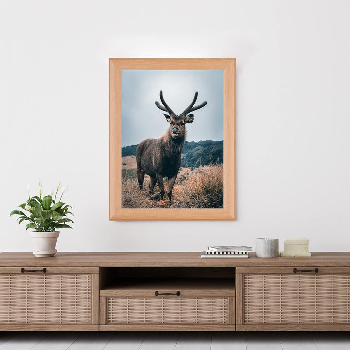 Rahmendesign24 Posterrahmen Fiona 59,4x84 (DIN A1) Buche Fotorahmen, Wechselrahmen, Bilderrahmen, 59