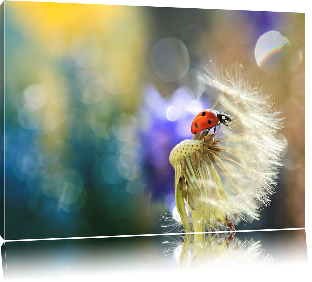 Marienkäfer auf Pusteblume Format: 100x70 auf Leinwand, XXL riesige Bilder fertig gerahmt mit Keilra