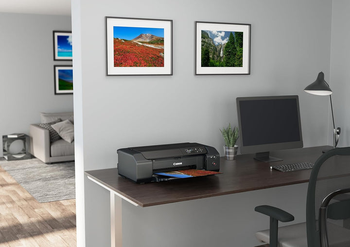 Canon PIXMA PRO-200S Farbtintenstrahldrucker Fotodrucker DIN A3+ (Hochglanzdruck, WLAN, USB 2.0, WiF
