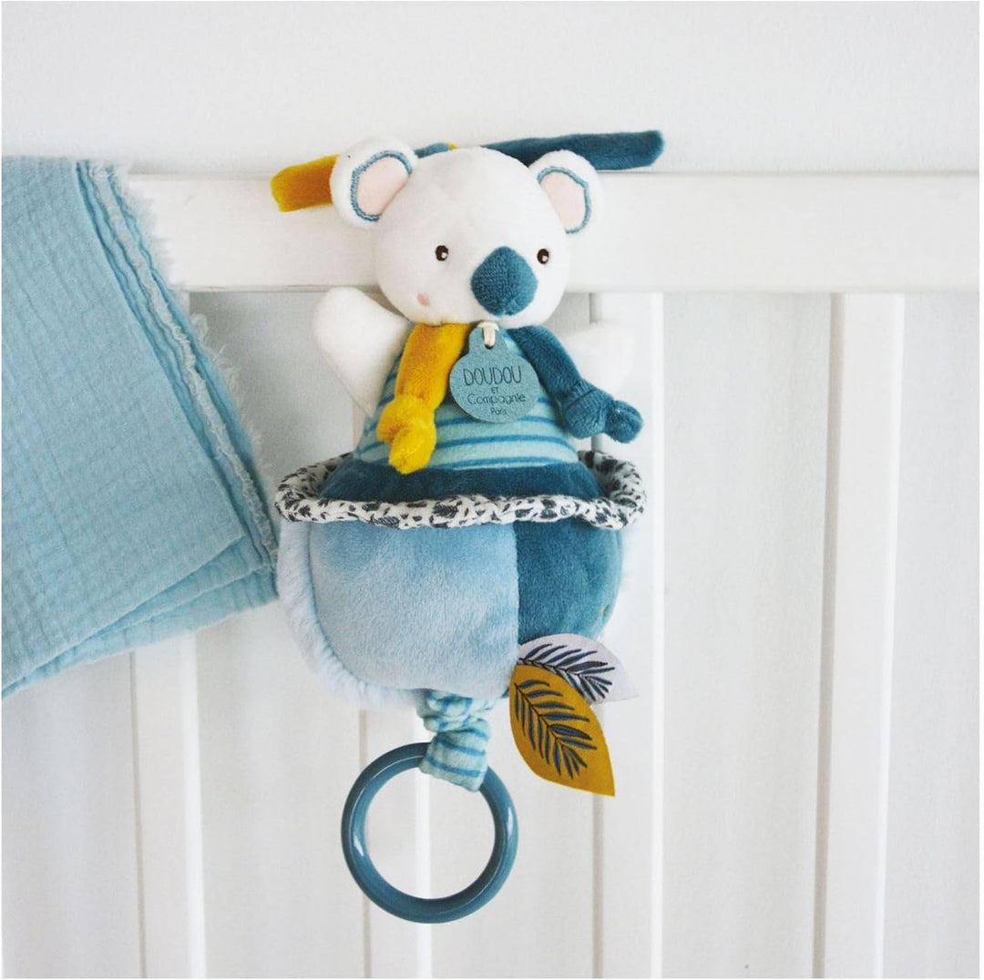 Unbekannt Doudou et Compagnie DC3673 Plüschtier Koala, 20 cm, Blau