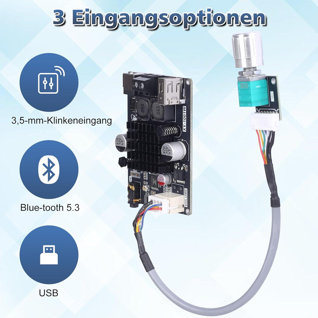 Bluetooth Verstärker Modul,TWS DC 9-24V 100W Mono Audio Verstärkerplatine mit AUX USB Bluetooth Plat