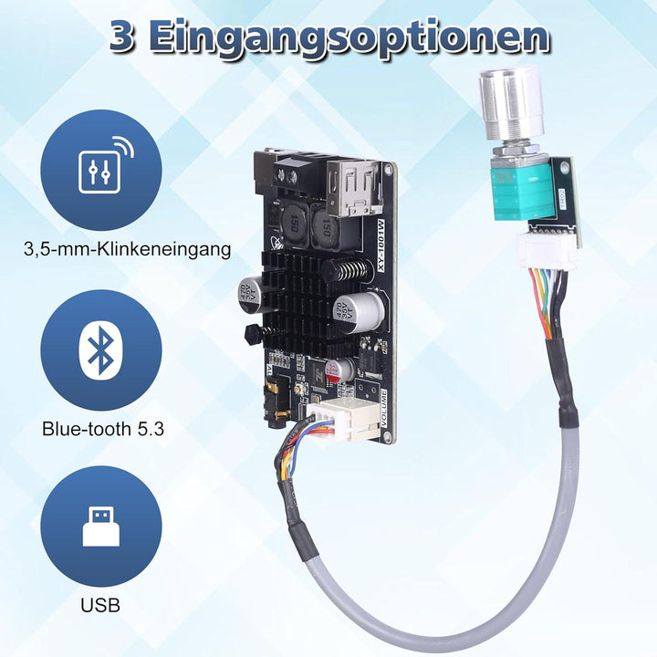Bluetooth Verstärker Modul,TWS DC 9-24V 100W Mono Audio Verstärkerplatine mit AUX USB Bluetooth Plat
