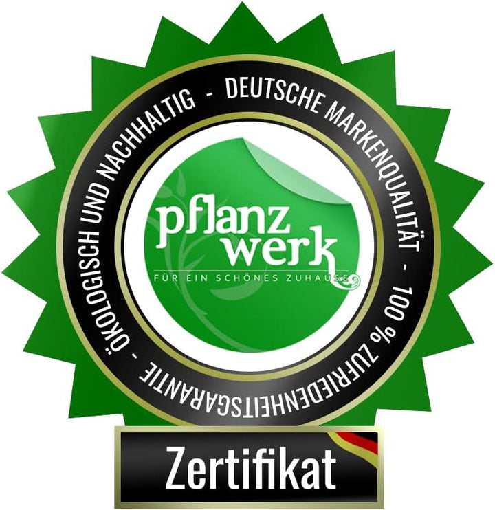 Pflanzwerk® Pflanzkübel TUB Grau 30x60x30cm *Frostbeständiger Blumenkübel* *UV-Schutz* *Qualitätswar
