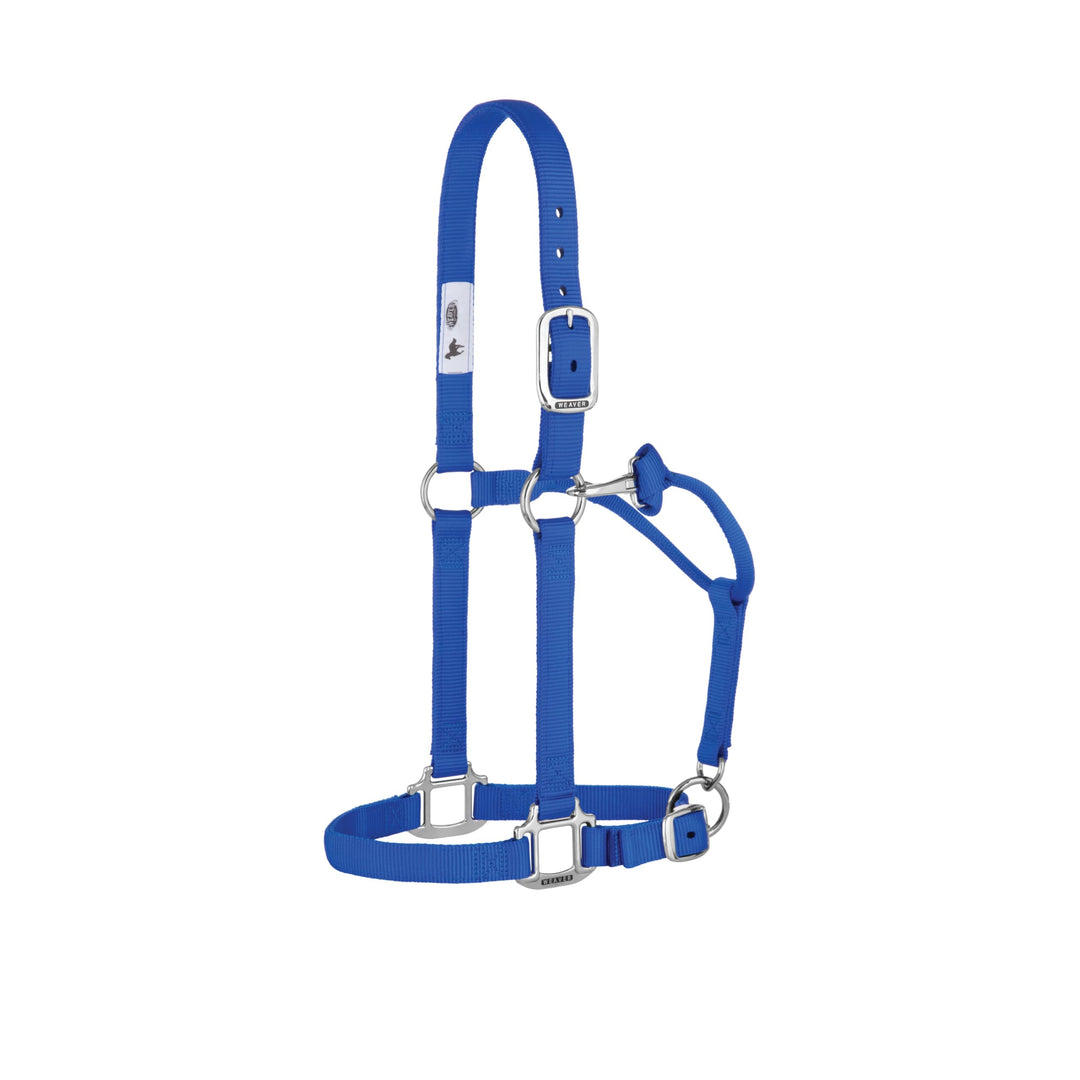 Weaver Leather, nicht verstellbares Halfter Blau Large Horse, Blau Large Horse