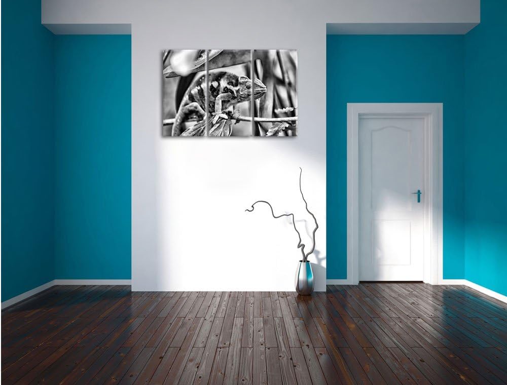 Pixxprint Monocrome, braunes Chamäleon 3-Teiler Leinwandbild 120x80 Bild auf Leinwand