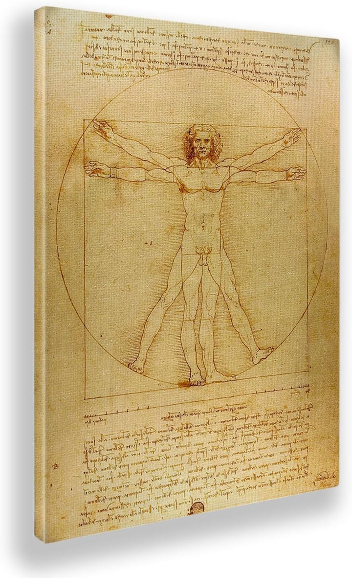 Giallobus - Gemälde - Leonardo Da Vinci - Vitruvian Man - Leinwand - 50x70 - Bereit zum Aufhängen -
