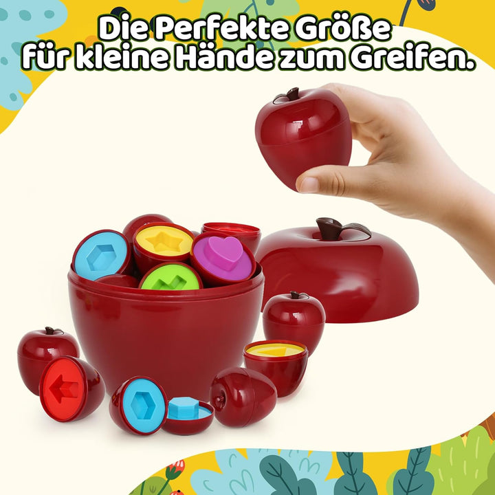 Montessori Spielzeug ab 1 Jahr – Apfel Sortier- &amp; Lernspiel zur Farbe &amp; Form Erkennung, fördert Fein
