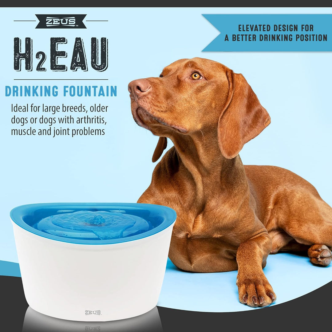 Zeus Trinkbrunnen für Hunde, weiss/blau, 6L
