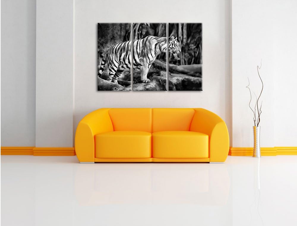 Pixxprint Tiger / 3-Teilig/Gesamtmass 120cm Leinwandbild bespannt auf Holzrahmen/Wandbild Kunstdruck
