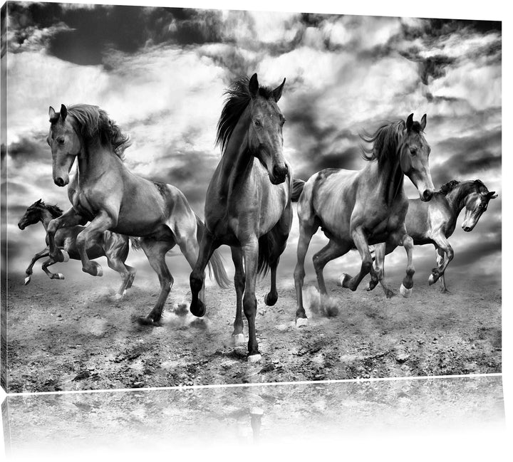 Pixxprint Monocrome, Western Pferde Cowboy, Format: 100x70 auf Leinwand, 100x70